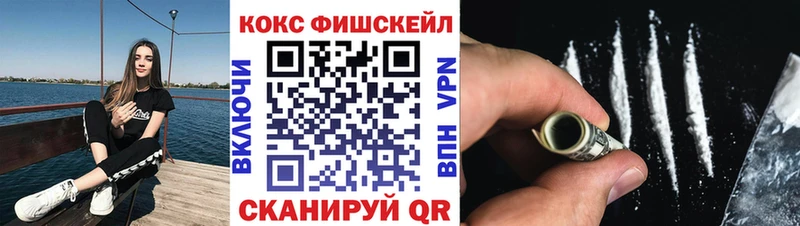 купить закладку  Николаевск  Cocaine FishScale 