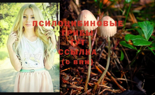 MDMA Premium VHQ Нефтегорск