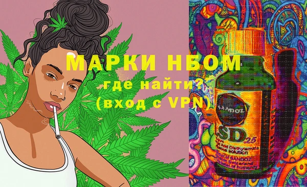 ECSTASY Нефтекумск