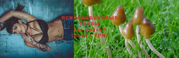 твердый Нея