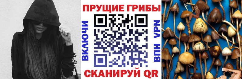 Псилоцибиновые грибы MAGIC MUSHROOMS  Николаевск 