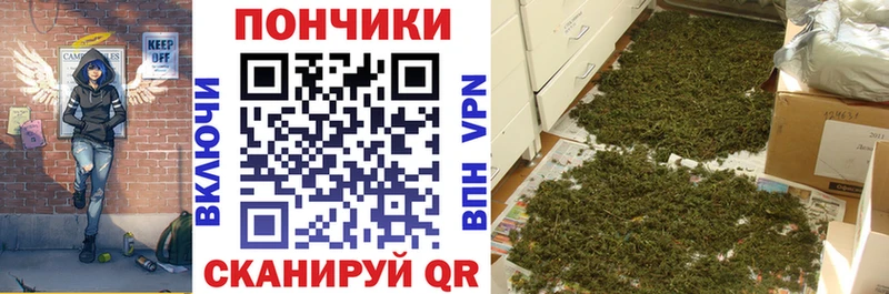 цена наркотик  Николаевск  Бошки Шишки Ganja 